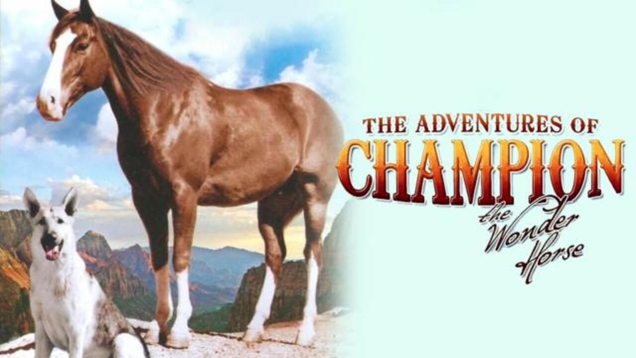 Champion The Wonder Horse